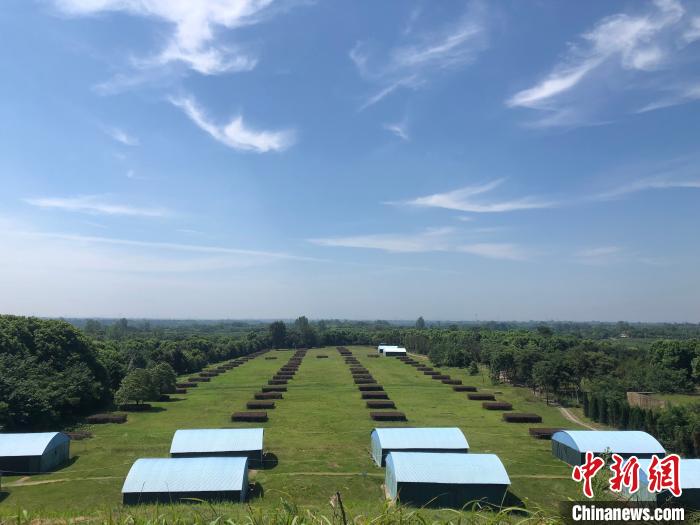 楚王车马阵景区是现已发现的保存最好、规模最大、布局最为完整的周代楚王陵陵园 梁婷 摄