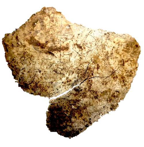 发现的文物碎片