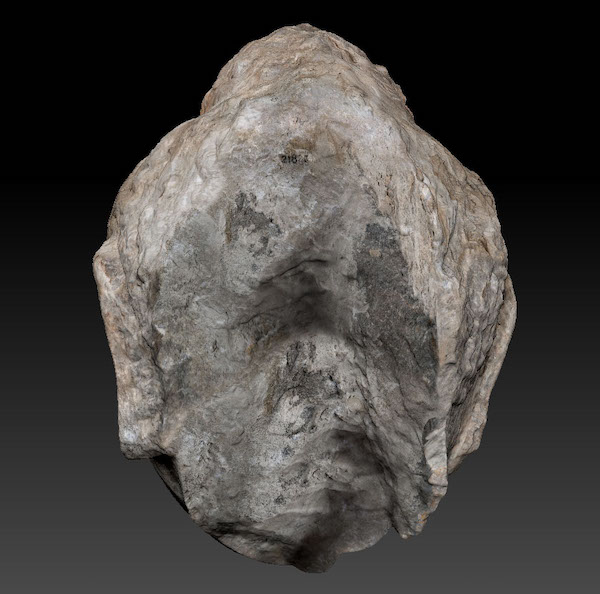 唐代佛头像（反面） 上海博物馆藏&nbsp;（受访者供图）