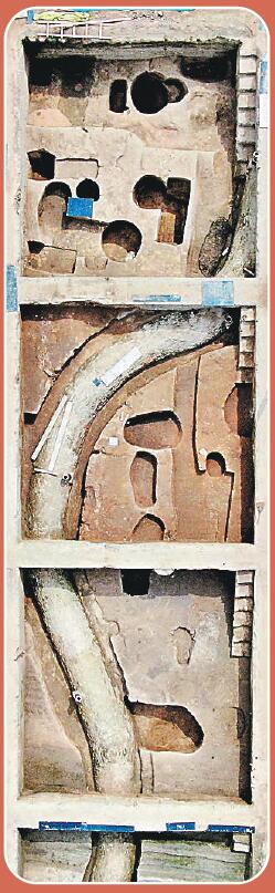 因热爱而投身，让考古事业青蓝相继