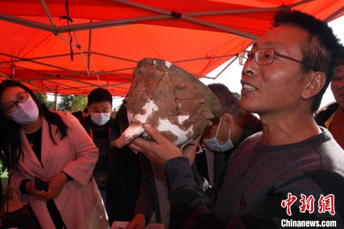 裴李岗遗址工地负责人、中国社科院考古研究所李永强助理研究员展示介绍出土的代表性遗存乳丁纹陶鼎。　孙自法 摄