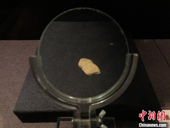 图为商代甲骨文特展上的展品。　钟旖 摄