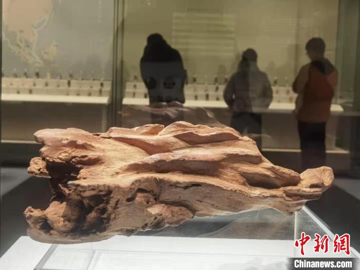 展览中的香料。　胡健 摄