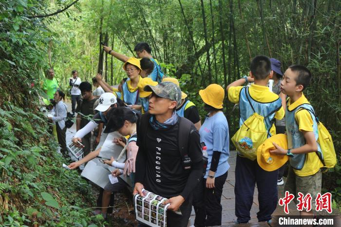 世界遗产地野生植物辨认大赛 韶关市丹霞山管委会 供图