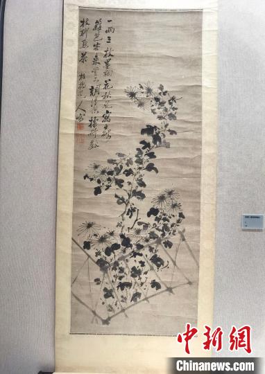 馆内展陈的郑燮《墨菊图轴》 刘浩 摄 馆内展陈的郑燮《墨菊图轴》 刘浩 摄