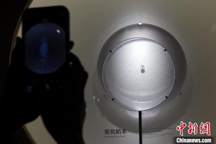 观众拍摄国博展出的新石器时代·碳化稻米遗存(距今约11000-8500年)。　<a target='_blank' href='/'>中新社</a>记者 孙自法 摄