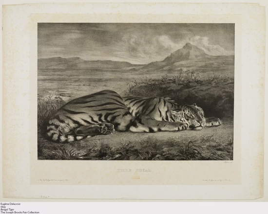欧仁·德拉克罗瓦，《孟加拉虎》，1829年，芝加哥艺术博物馆，馆藏编号：1927.1645