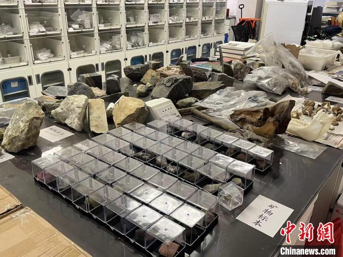 实验室中摆放的大大小小的石头。　童笑雨 摄