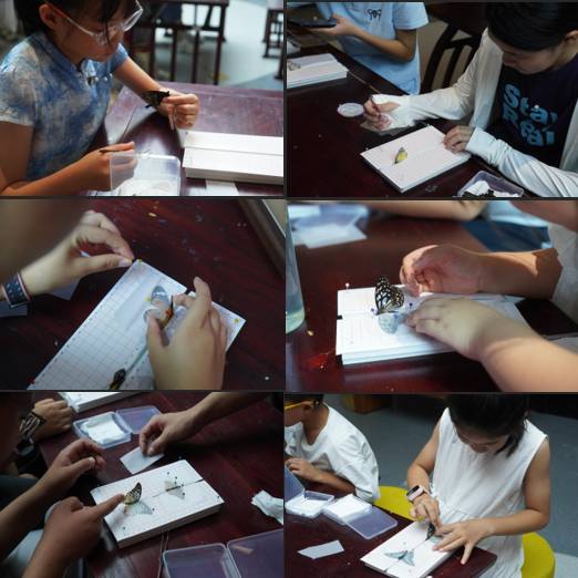 1786251651886064834.png 30d545fb-5bee-4f8b-abda-9535cd6598cb.png