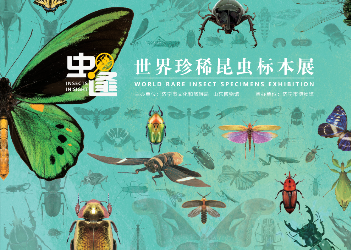1786676437901032938.png 图片2.png